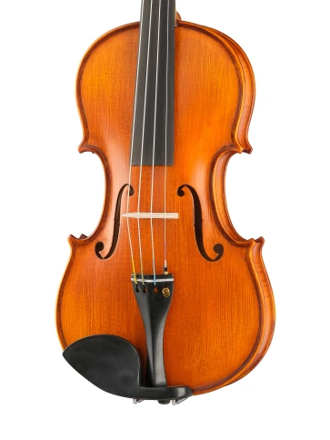 PU-V044-GI Professional Gama Unique Willow Скрипка 4/4, Gliga фото 3