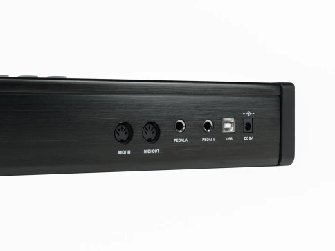 P-49-PRO MIDI-контроллер, 49 клавиш, LAudio фото 6