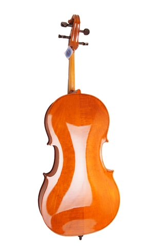 4/17C-4/4 Виолончель 4/4, студенческая, Strunal фото 5