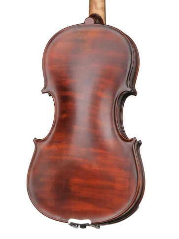 AW-V044-S Workshop Gems 1 Special Antique Скрипка 4/4, Gliga фото 5