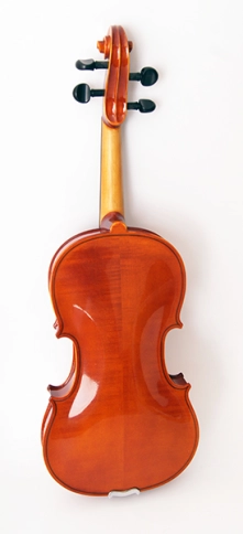 920-4/4 Скрипка студенческая 4/4 Strunal фото 4