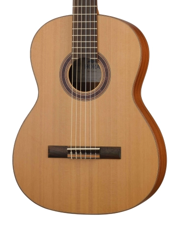 N1150 SM500 Классическая гитара, Hora фото 3