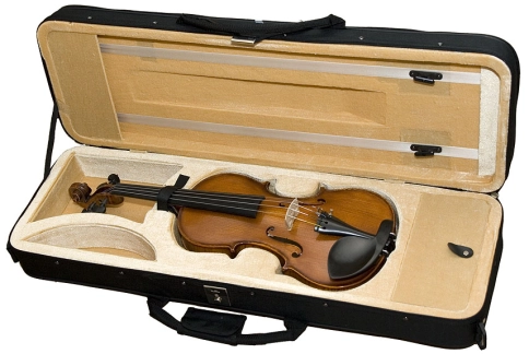 HPVC Professional Кейс для скрипки 4/4 прямоугольный Hora фото 1