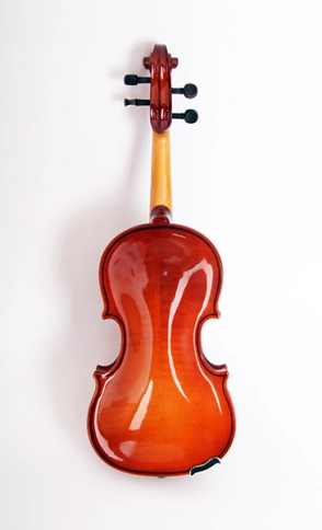 B16-1/8 Скрипка в футляре со смычком, Strunal фото 6