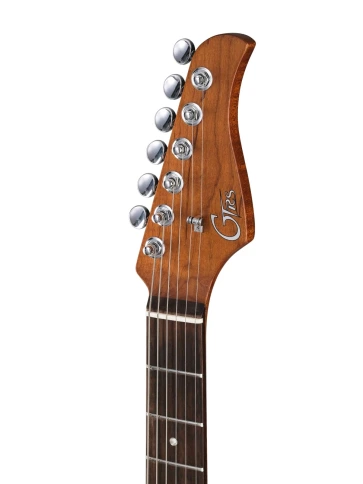 Электрогитара с процессором эффектов GTRS P800-Professional-800-DS фото 10