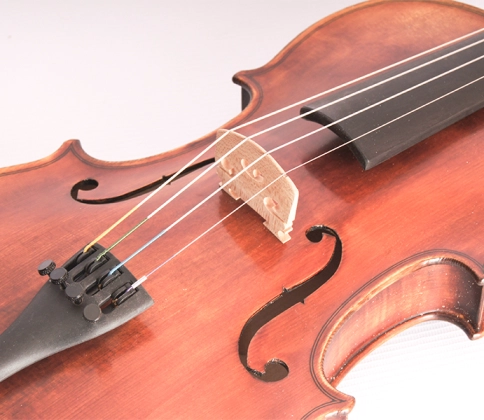 194-4/4 Pienza Скрипка концертная 4/4, Strunal фото 4