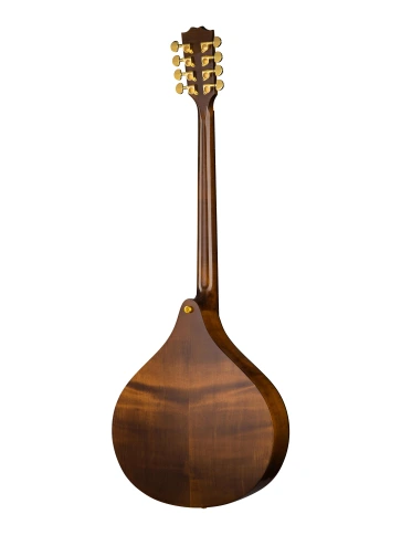 M1090 Concert bouzouki Бузуки, Hora фото 4