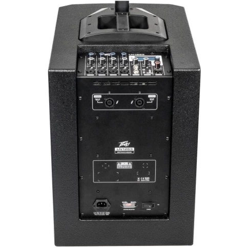 Акустическая система PEAVEY LN 1263 фото 3