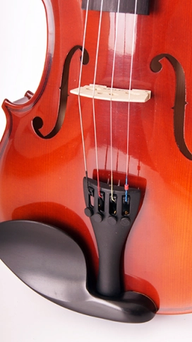 16w-4/4 Скрипка студенческая 4/4 Strunal фото 5