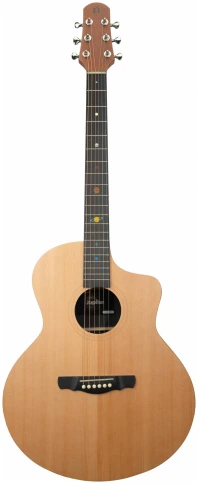 NEBULA Jupiter JC 41 - Гитара акустическая шестиструнная фото 1