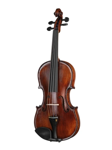 P-V044-F Professional Gama Special Скрипка 4/4, Gliga фото 1