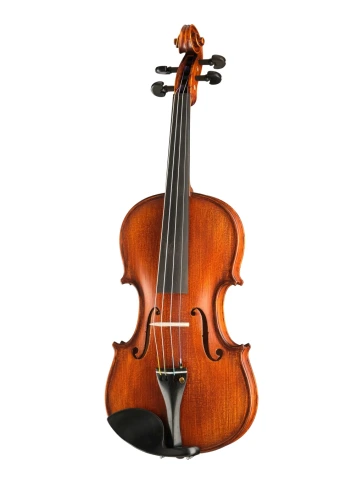 P-V044-OB Proffesional Gama OPB Birds Eye Скрипка 4/4, Gliga фото 1