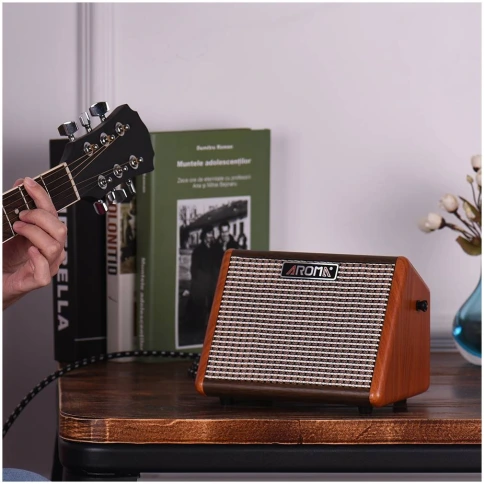 AROMA AG-15A - Комбоусилитель для акустической гитары фото 5