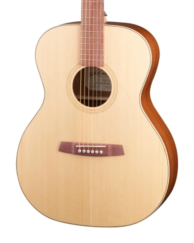 M15-GG Steel String Series Green Globe Акустическая гитара, Kremona фото 2