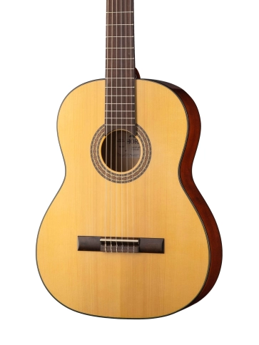 N1010-4/4 Spanish Классическая гитара Hora фото 2