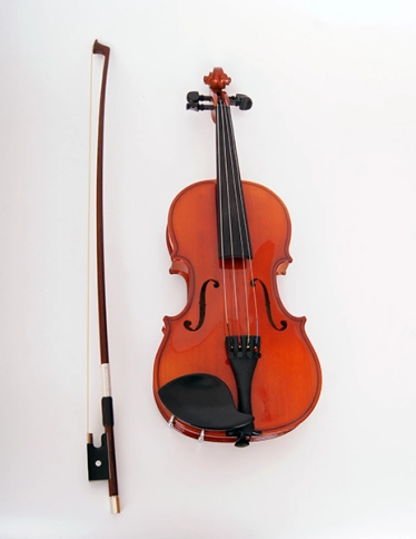 B16-1/4 Скрипка в футляре со смычком, Strunal фото 2