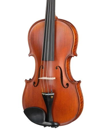 P-V044-O Professional Gama OPB Скрипка 4/4, Gliga фото 2
