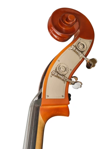 B110BAG-4/4 Rhapsody Student solid top Контрабас с чехлом Hora фото 4