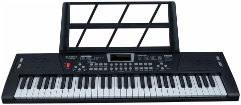 TERRIS TK-200 BK - Синтезатор фото 5