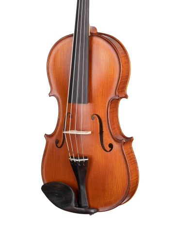 AW-V16 Workshop Gems 1 Альт, Gliga фото 5