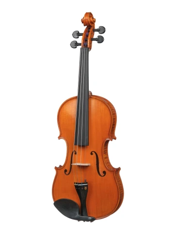 PS-V044 Professional Gama Super Скрипка 4/4, Gliga фото 1