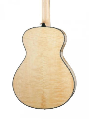 Электро-акустическая гитара Cort Gold Passion WCASE NAT Gold Series фото 2