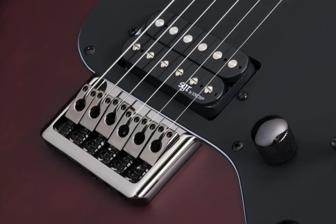 Электрогитара Schecter BANSHEE-6 FR SGR WSN фото 4