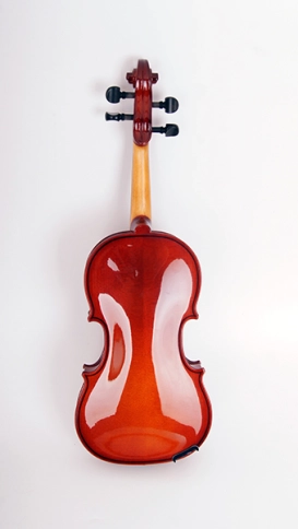 B16-1/4 Скрипка в футляре со смычком, Strunal фото 3