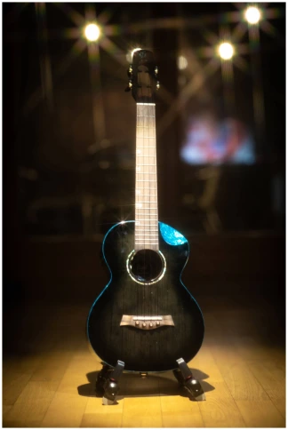 FLIGHT NIGHTHAWK TENOR EQ-A - Укулеле тенор фото 20