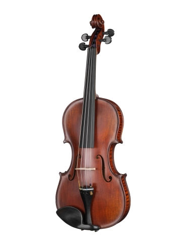 P-V044-S Professional Gama Special Antique Скрипка 4/4, Gliga фото 1