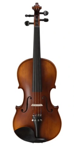 920-1/2 Скрипка студенческая 1/2, Strunal фото 1