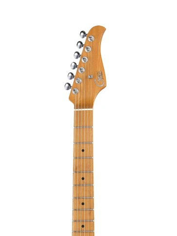 Электрогитара с процессором эффектов GTRS S801-Standard-801-GD фото 2
