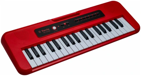 TERRIS TK-110 RD - Синтезатор фото 2