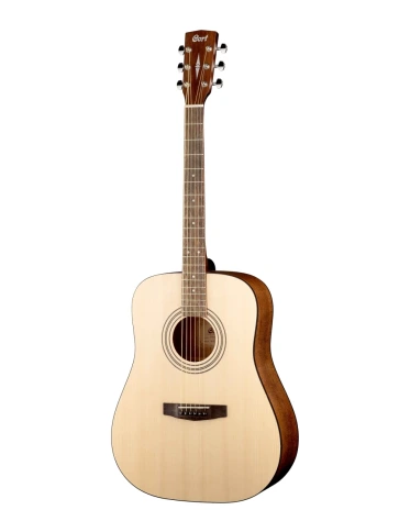 Гитара акустическая Cort EARTH PACK OP фото 2