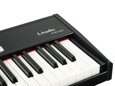 P-61-PRO MIDI-контроллер, 61 клавиша, LAudio фото 4