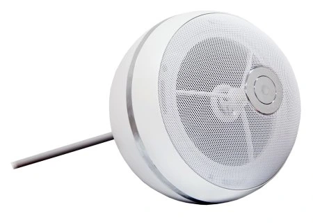 SVS Audiotechnik BWS-603 Громкоговоритель подвесной потолочный фото 1
