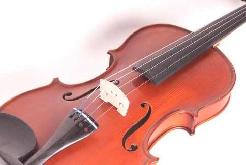 S-V044-Set Student Genial 1 Oil Скрипка 4/4 с чехлом, Gliga фото 3