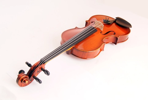 331W Скрипка концертная 4/4, Strunal фото 2