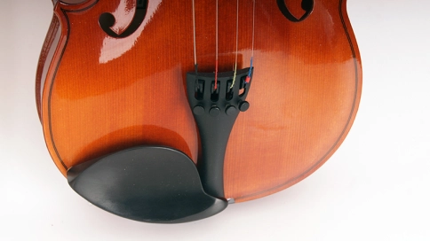 B16-4/4 Скрипка в футляре со смычком Strunal фото 6