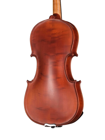 I-V044-B Intermediate Gems 2 Birds Eye Скрипка 4/4, Gliga фото 5