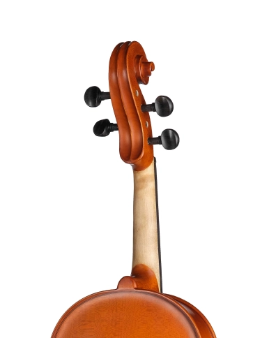 S-V16 Student Genial 1 Oil Альт, Gliga фото 6