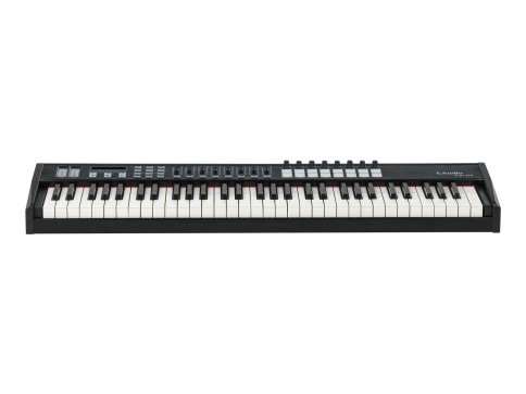 P-61-PRO MIDI-контроллер, 61 клавиша, LAudio фото 2