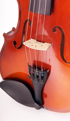 150-3/4 Скрипка студенческая Strunal фото 4