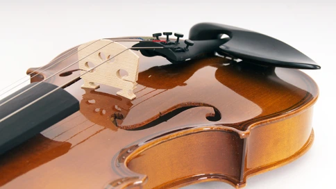 405-4/4 Скрипка концертная, Strunal фото 3