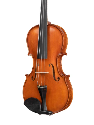 AW-V012 Workshop Gems 1 Скрипка 1/2, Gliga фото 2