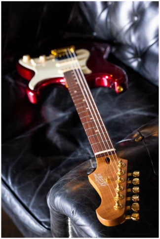 JET JS-480 WR G - Электрогитара шестиструнная фото 21