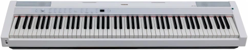 ARAMIUS APH-120 WH - Пианино цифровое компактное фото 1