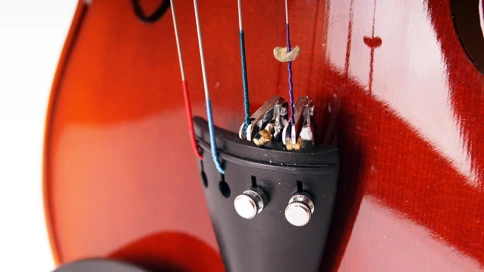 193wA-4/4 Скрипка концертная Strunal фото 2