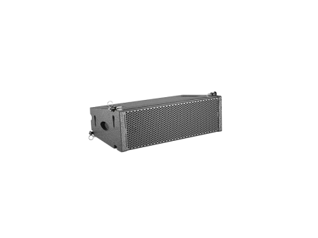 SVS Audiotechnik L206A элемент линейного массива активный 2-полосный фото 1