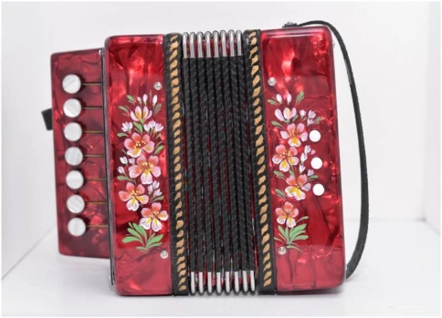 ТУЛЬСКАЯ ГАРМОНЬ ГН-25 RD - Гармонь 1-голосная фото 1